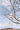 ESSENTIALS LOGO RICHARDSON